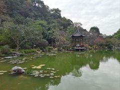 -云溪植物园