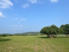 -御道口草原森林风景区