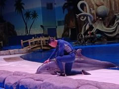 -华夏文旅海洋公园