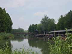 -溱湖国家湿地公园