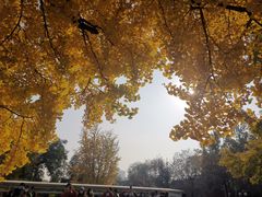 -北京石刻艺术博物馆(五塔寺)