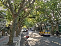 -玫瑰厅上海菜(兴国路店)