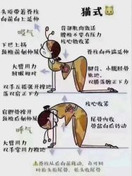 -水沐莲清瑜伽·普拉提