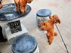 -纳吉亚猫专科动物医院·北北分院