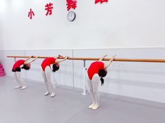 -小芳舞蹈团·少儿舞蹈·中国舞(龙江校区)