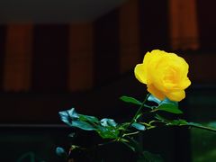 -星光摄影器材城