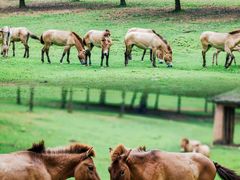 -杭州野生动物世界