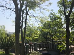 -宁波九龙湖开元度假村