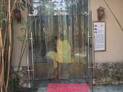 -咸宁万豪温泉谷度假区