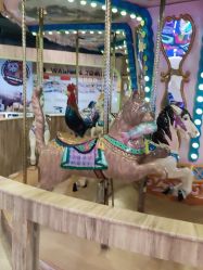 -卡通尼·Safari非洲探索乐园·生日会(金桥国际商业广场店)