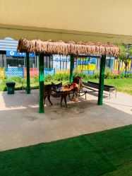 -萌宠亲子动物乐园(槐房万达店)