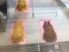 -惠诚滋知(鸿通城店)