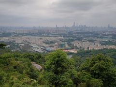 -火炉山森林公园