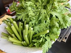 茼蒿-阳坊胜利涮羊肉(阳坊老店)
