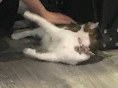 -质烤烤物·活烤海鲜(质烤总店)