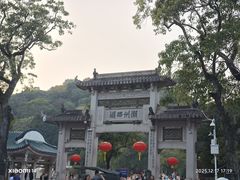 -谢怀亮芝麻茶