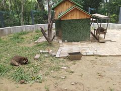 -青藏高原野生动物园