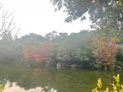 -烈士陵园(地铁站)