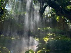 -Chom Cafe and Restaurant