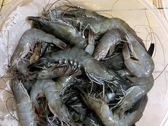 -奔海甄选·活鲜刺身铁板烧自助(太原里店)