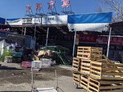 -中环花鸟鱼虫市场