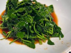 -绿波廊(豫园店)