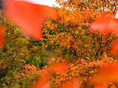 -北京十三陵国家森林公园蟒山景区