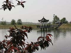 -大塘金香草谷
