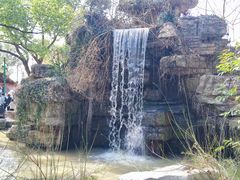 -上海野生动物园