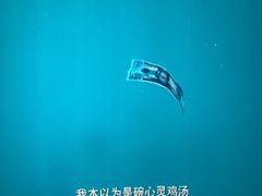 -UME影城(中国巨幕高新店)