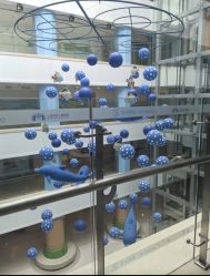 -上海浦滨儿童医院