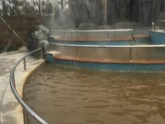 -宁波杭州湾海底温泉