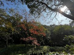 -杭州半山国家森林公园