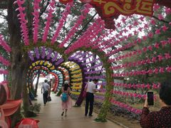 -北海金海湾红树林生态旅游区