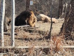 -沈阳森林动物园