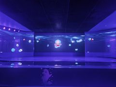 -欢乐海岸海洋奇梦馆