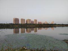 -永定河休闲森林公园