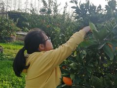 -前小桔亲子创意农场·草莓采摘·露营烧烤