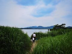 -下渚湖国家湿地公园科普馆
