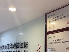 -北京派仕佳德动物医院·超导核磁·CT·神经科·骨科·内外科·急重症管理中心