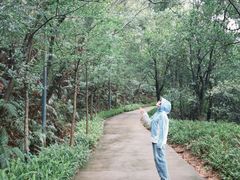 -中旅阿那亚九龙湖·公主酒店