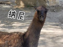 -平山城鑫烧烤(建国楼店)