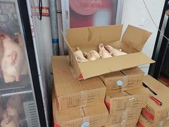 -金百万烤鸭店(良乡店)