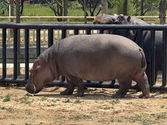 -鄂尔多斯野生动物园