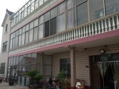 -南汇老顾农家乐采摘大团水蜜桃采摘店