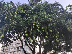 -福建省奥林匹克体育中心体育馆