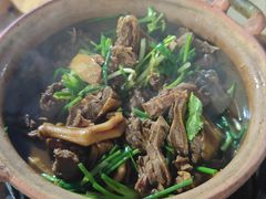 -霞姐屯昌枫木香草鸭店(海螺店)