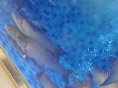 -粤顺渔坊·中山脆肉鲩火锅(清湖店)