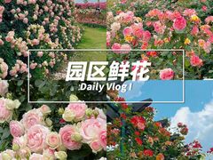 -栖露营camping·天幕烧烤·团建拓展·采摘营地