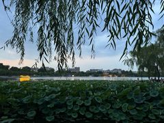 -济南大明湖景区